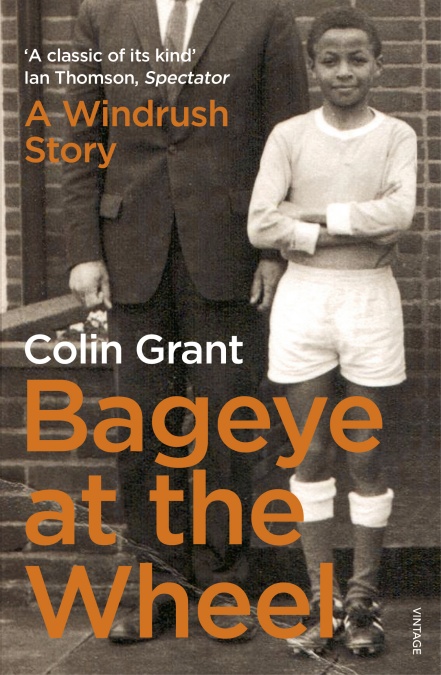 Bageye at the wheel book cover